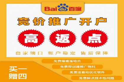 提升转化率：SEM竞价专员的案例研究